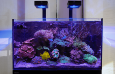 ReefLED-Light-with-Tank-2.png