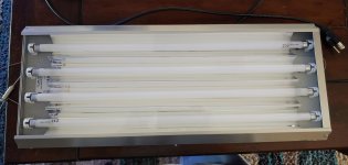 20191115_131223.jpg 20191115_131223.jpg