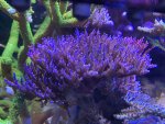C6DD1C97-81E1-4786-8385-BD2D535F93D7.jpeg
