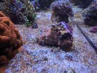 IMG_20191124_172814.jpg