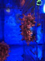 CA0B6562-C000-472D-B59A-C8759A6EEE97.jpeg
