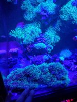 20191127_183328.jpg