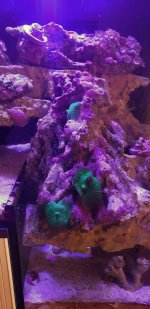 20191129_114709-01.jpeg