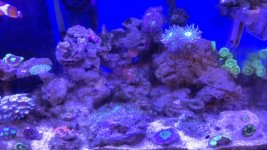 IMG_2968.JPG