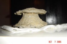 Mushroom Rock 1.jpg