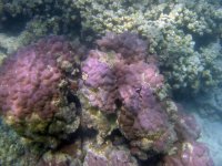 IMG_0069.jpg