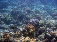 IMG_0061.jpg