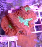 DSCF1307.JPG