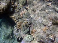IMG_0053.jpg