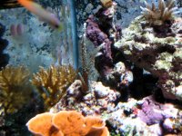 IMG_0320.JPG