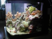 DSCN0240.JPG