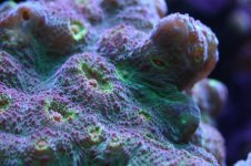Tank thread Update 010.jpg