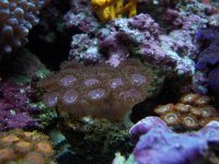 100_2071.JPG