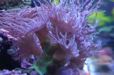 Tank thread Update 015.jpg