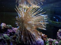 100_2076.JPG