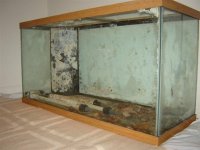 DSC01265 (Small).JPG