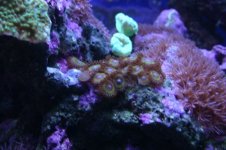 Tank thread Update 028.jpg