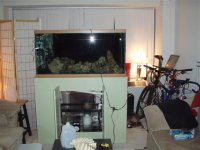 P1250140 (Small).JPG