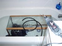 P2030083 (Small).JPG