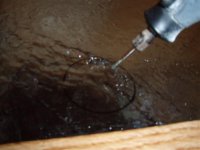 P2030084 (Small).JPG