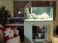 P2030092 (Small).JPG