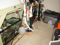 DSC03335 (Small).JPG