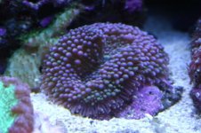 Tank thread Update 052.jpg