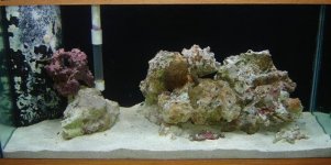 DSC03390 (Small).JPG