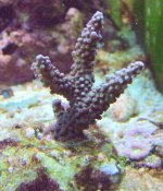 DSCF1779.JPG
