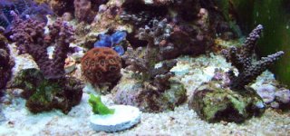 DSCF1781.JPG