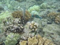 IMG_0114.jpg