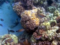 IMG_0015[1].jpg