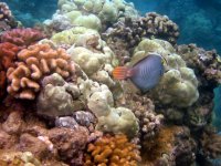 IMG_0108[1].jpg