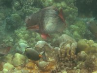 IMG_0072.JPG