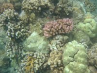 IMG_0123.jpg