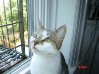 DSC00376.JPG