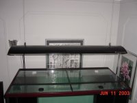 Fishtank Aug 2003 049.jpg