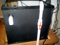 BACK OF 24 AQUA .jpg