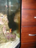 Picture 014 (Large).jpg