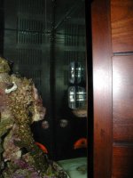 Picture 016 (Large).jpg