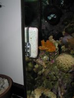 Picture 024 (Large).jpg