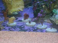 000_0036.jpg