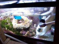 100_2181.jpg