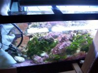 100_2180.jpg