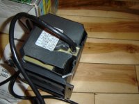 70 Watt MH & Eheim 009.JPG