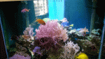 20191116_113459_1.gif