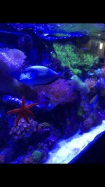 IMG_2257.jpg