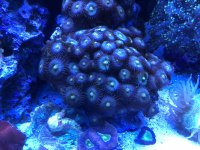 3C7177B8-99ED-435B-B404-D29428B7D420.jpeg