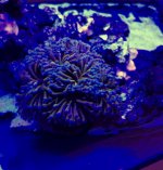 8945E330-E4F2-4AD2-9B60-F25CDBE8394A.jpeg