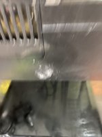 40732B85-F69E-4F11-B511-FE7FB92C83DA.jpeg